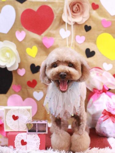 20230210くぅくん